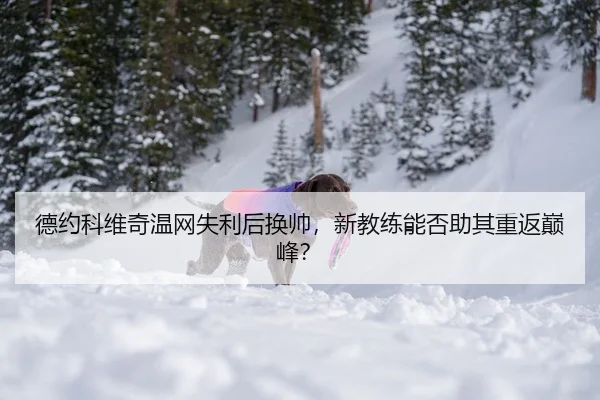 de-yue-ke-wei-qi-wen-wang-shi-li-hou-huan-shuai-xin-jiao-lian-neng-fou-zhu-qi-chong-fan-dian-feng-2-586.jpg